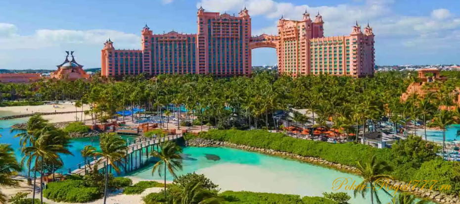 Итоги WSOP Paradise
