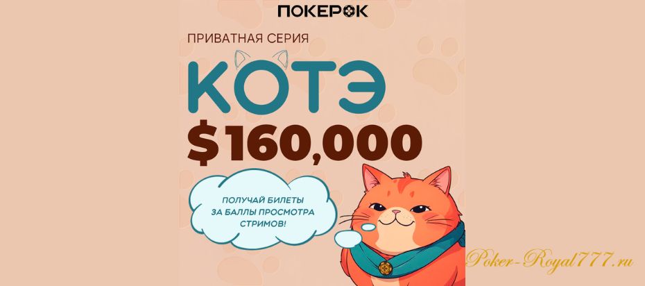 Победитель второго Кубка Котэ на ПокерОК: от $2,16 РВК до $4,039 призовых